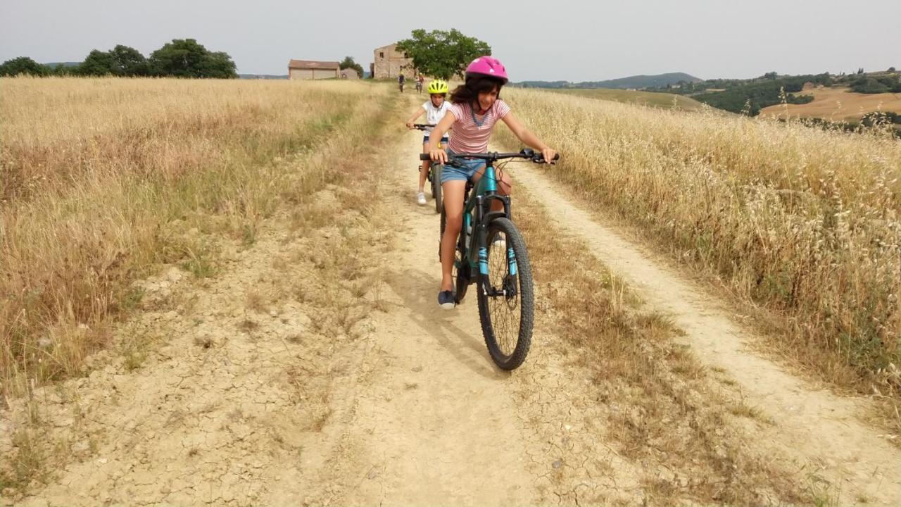 Agriturismo Sole Βίλα Trequanda Εξωτερικό φωτογραφία