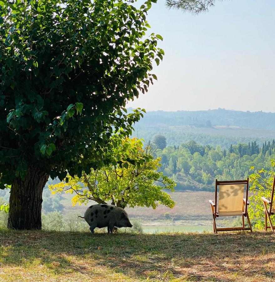 Agriturismo Sole Βίλα Trequanda Εξωτερικό φωτογραφία