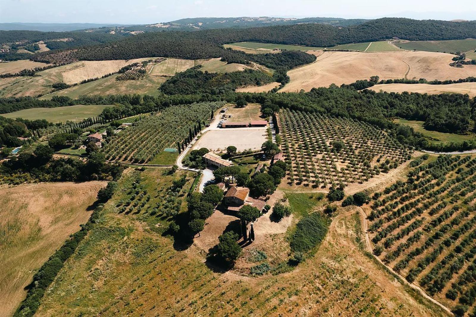 Agriturismo Sole Βίλα Trequanda Εξωτερικό φωτογραφία