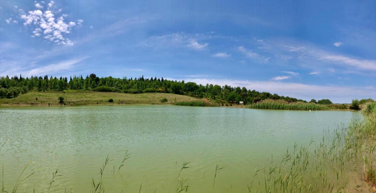 Agriturismo Sole Βίλα Trequanda Εξωτερικό φωτογραφία