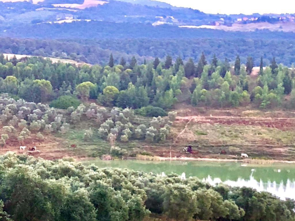 Agriturismo Sole Βίλα Trequanda Εξωτερικό φωτογραφία