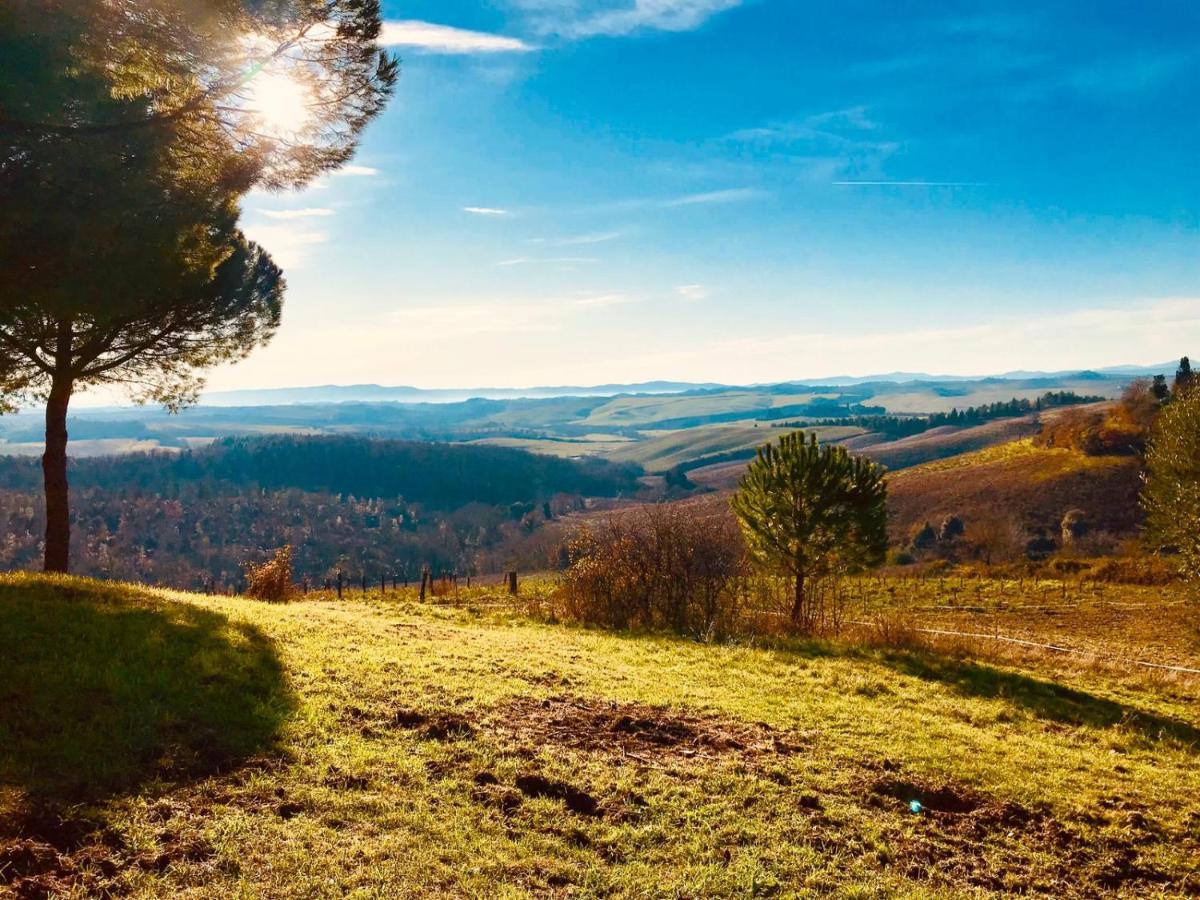 Agriturismo Sole Βίλα Trequanda Εξωτερικό φωτογραφία