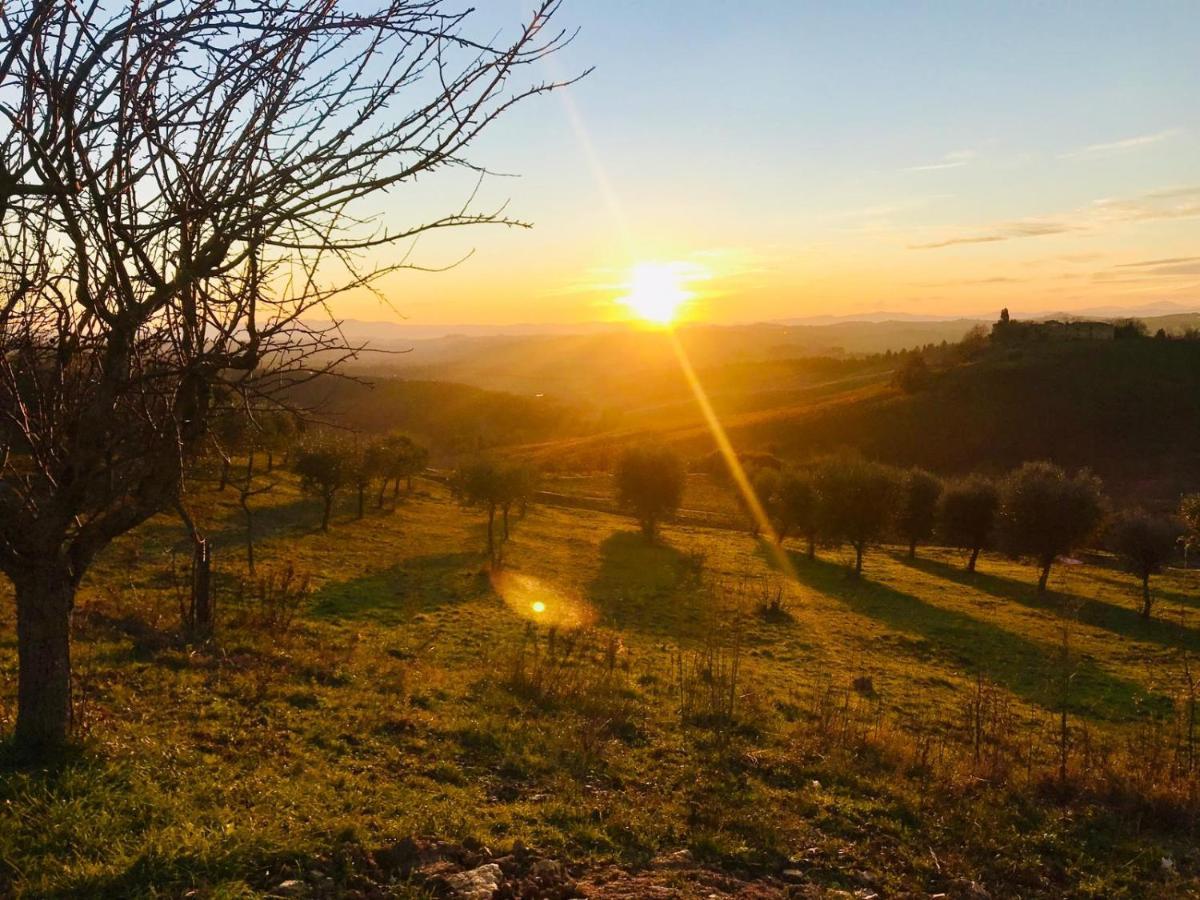 Agriturismo Sole Βίλα Trequanda Εξωτερικό φωτογραφία