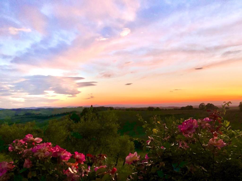 Agriturismo Sole Βίλα Trequanda Εξωτερικό φωτογραφία